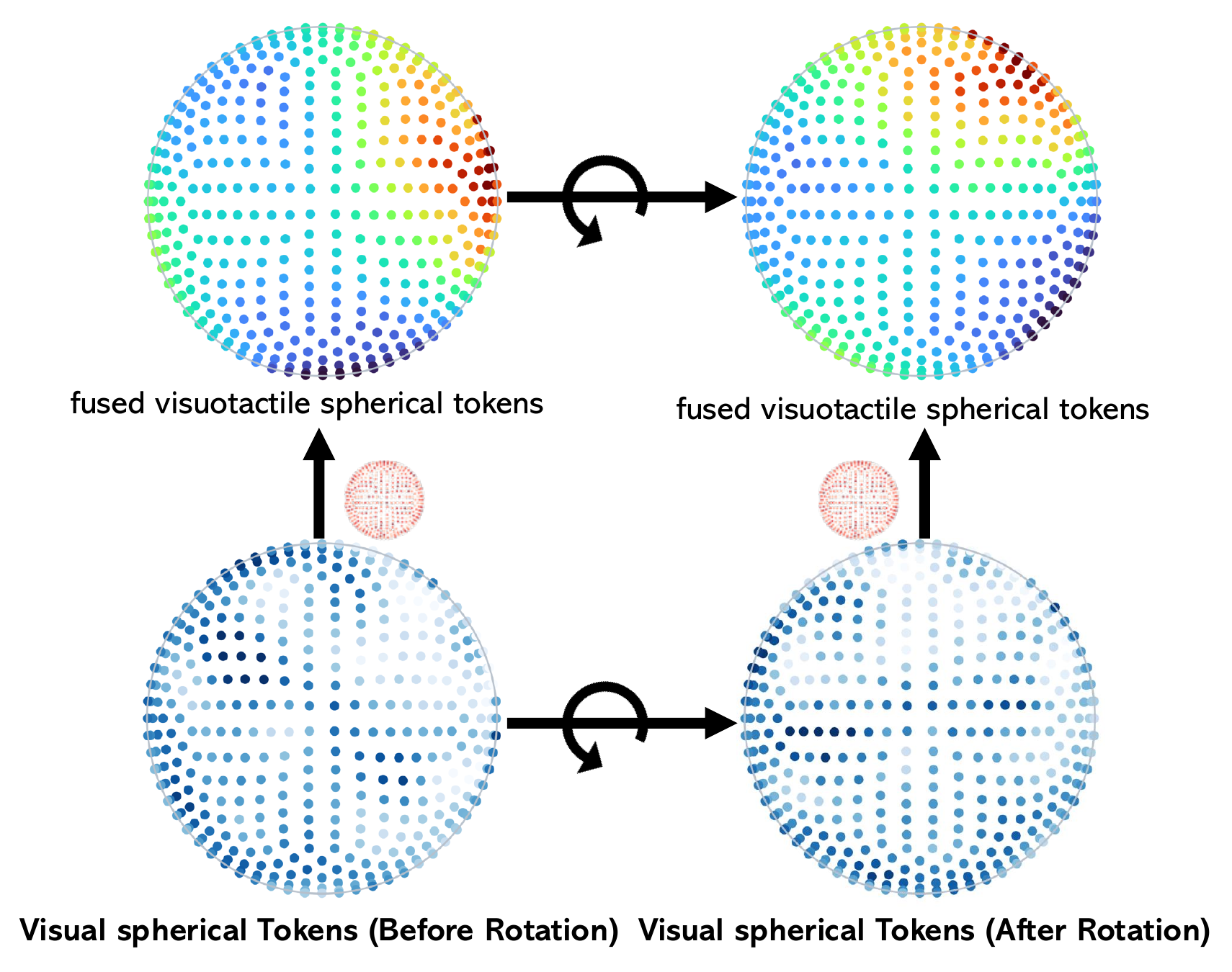 Permutation-equivariant spherical fusion between visual directions and tactile contact cues